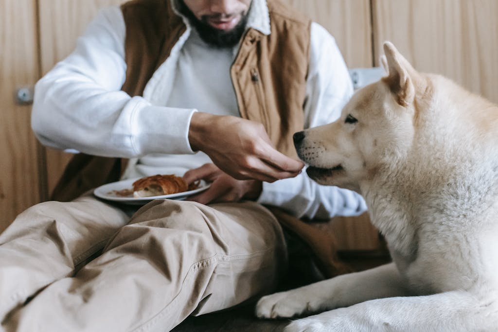 A man sitting indoors feeding his dog with a friendly gesture.