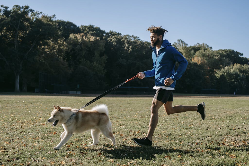 Young man jogging with Akita Inu dog on leash in a sunny park, embodying an active and healthy lifestyle.How to make your dog live longer